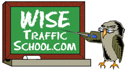Wise Traffic School Logo