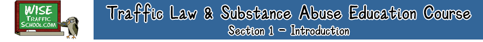 Wise Traffic School Traffic Law & Substance Abuse Education Course Header