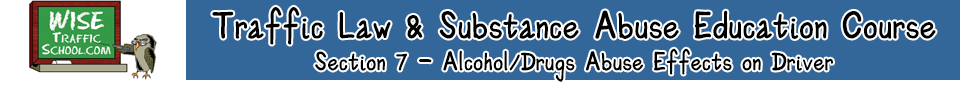 Wise Traffic School Traffic Law & Substance Abuse Education Course Header